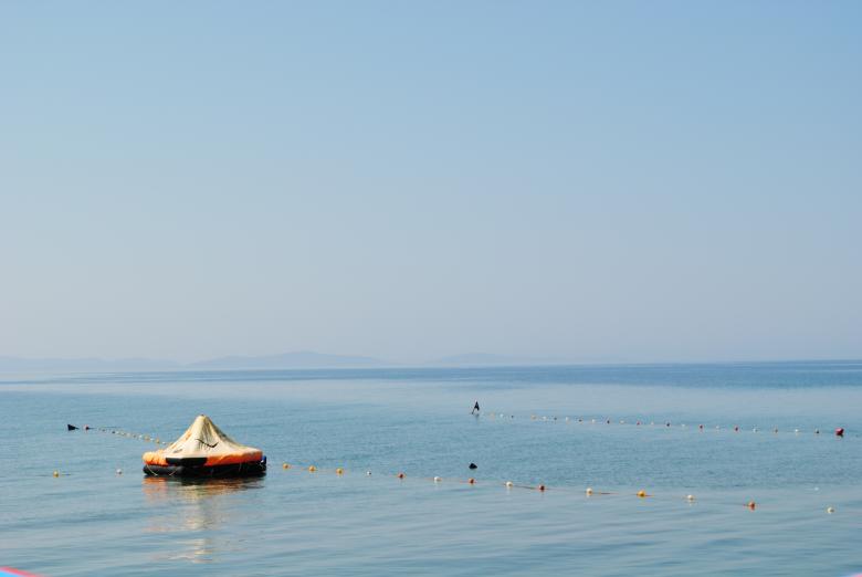 Free stock image of In the Ocean created by Bee 