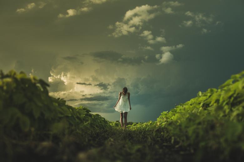 Free stock image of The Perfect Landscape created by Unsplash