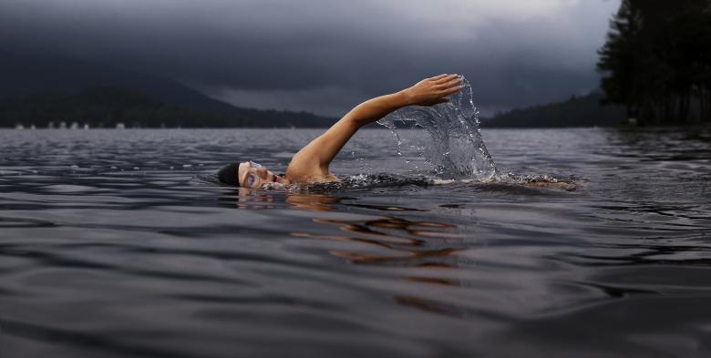 Free stock image of The Swim created by Unsplash