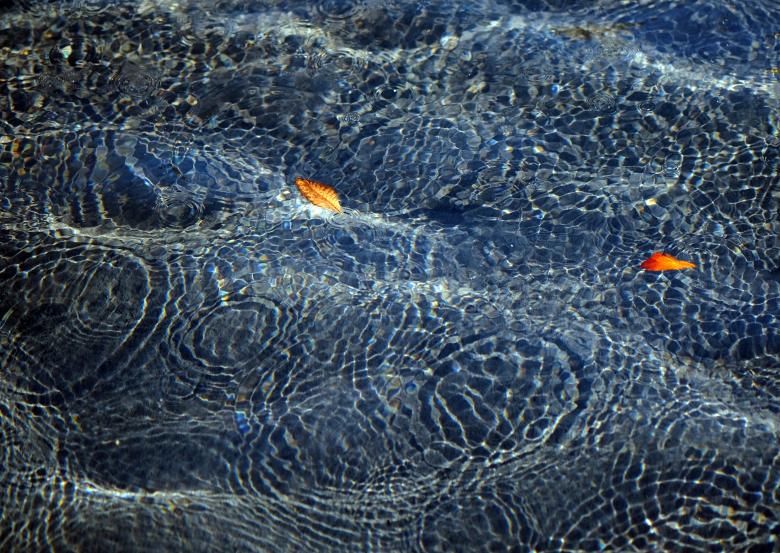 Free stock image of Ripples created by Unsplash