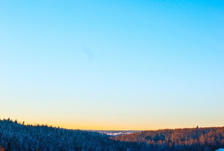 Free stock image of Trees created by Unsplash