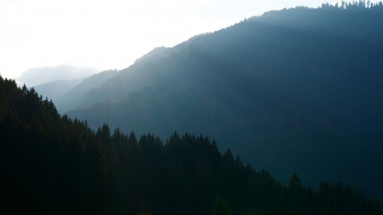 Free stock image of Beautiful Forest created by Unsplash