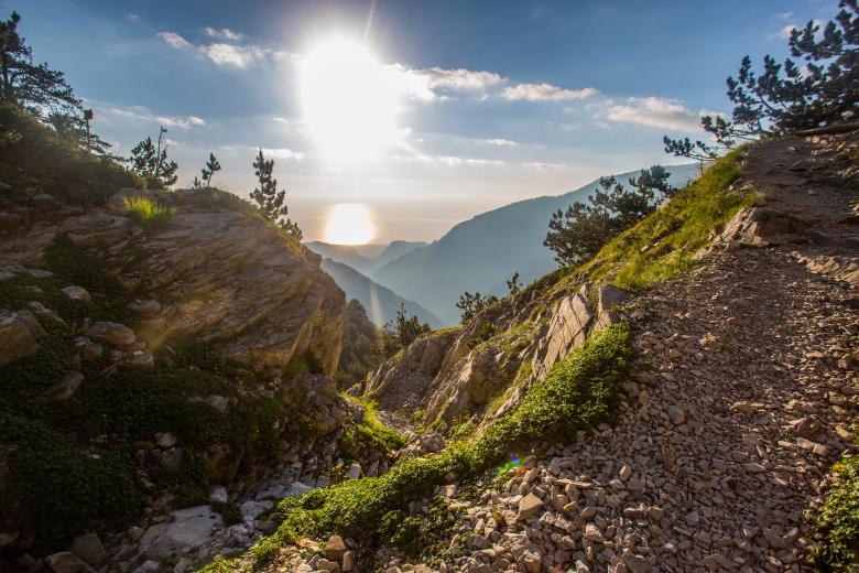Free stock image of Sunlight created by Unsplash