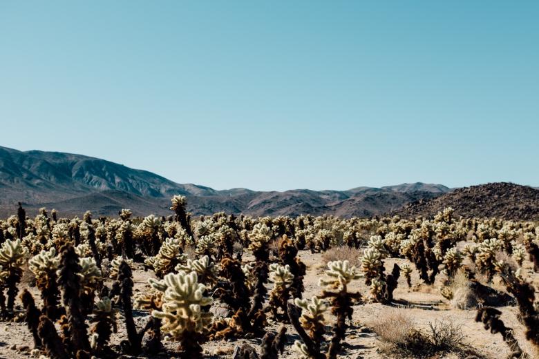 Free stock image of Mountainous created by Unsplash