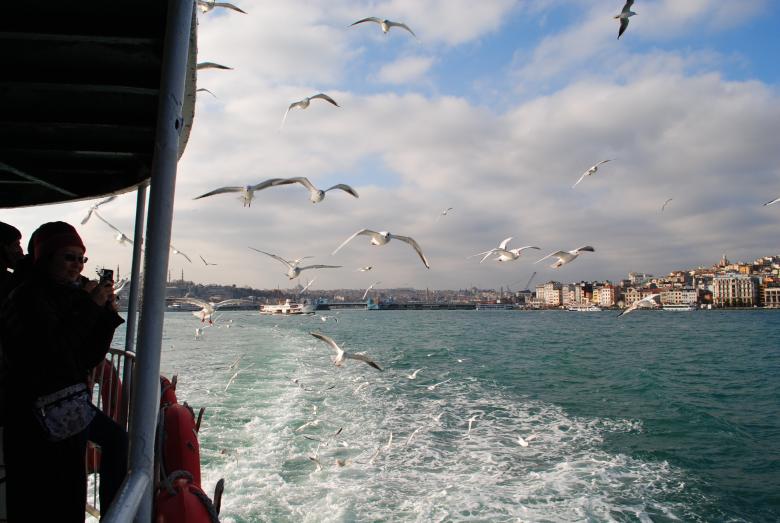 Free stock image of Boat Ride created by Bee 