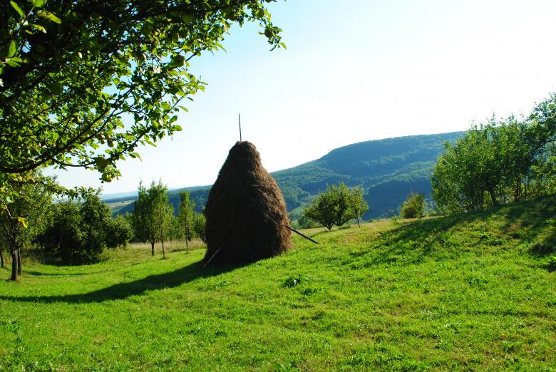 Free stock image of Mountainous Landscape created by Bee 