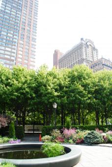 Free Stock Photo of City Park