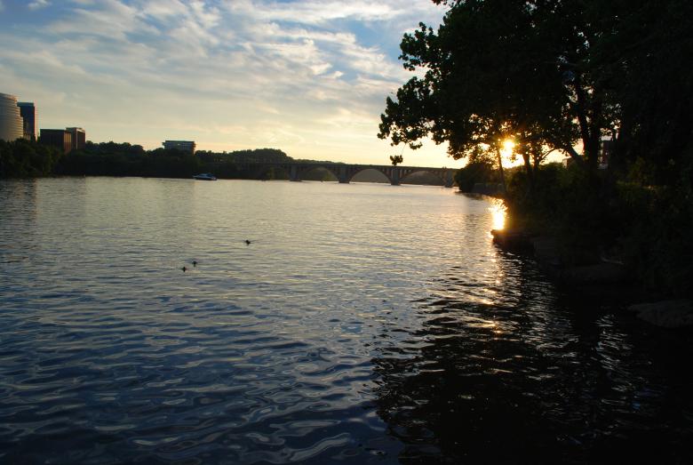 Free stock image of River View created by Bee 