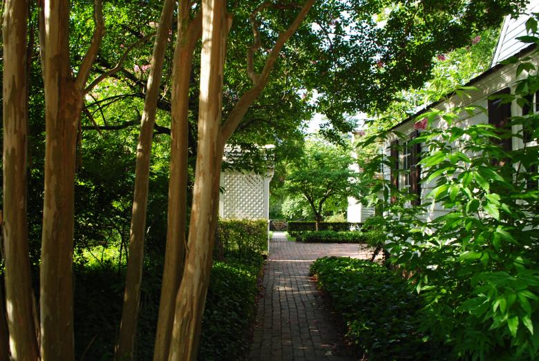 Free stock image of In Front of the Residence created by Bee 