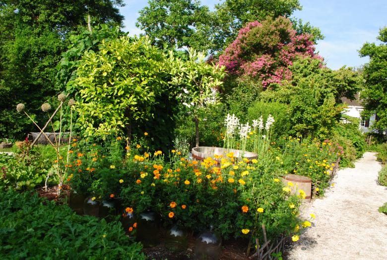 Free stock image of Beautiful Garden created by Bee 