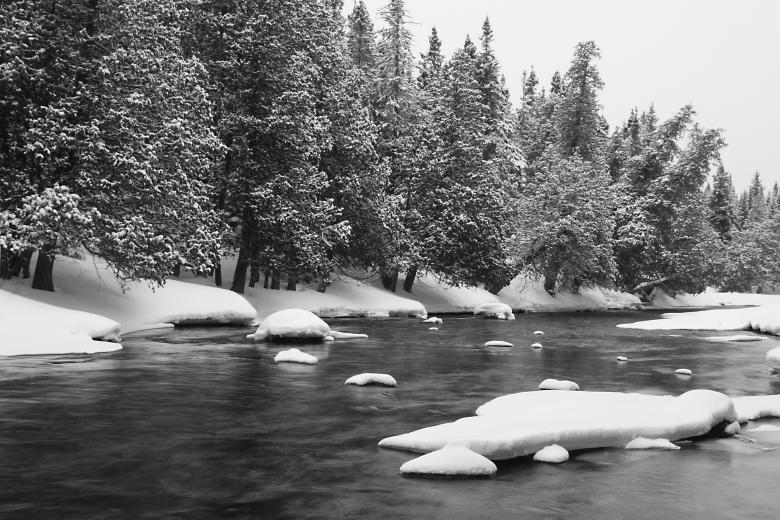 Free stock image of Nature in Winter created by Life of Pix