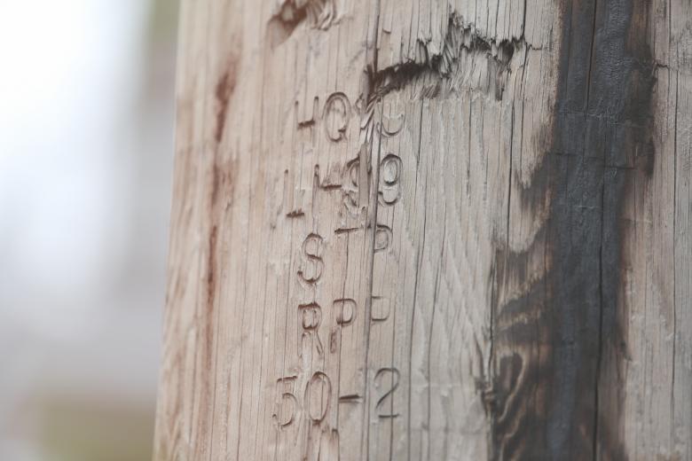 Free stock image of Wood Texture created by Life of Pix