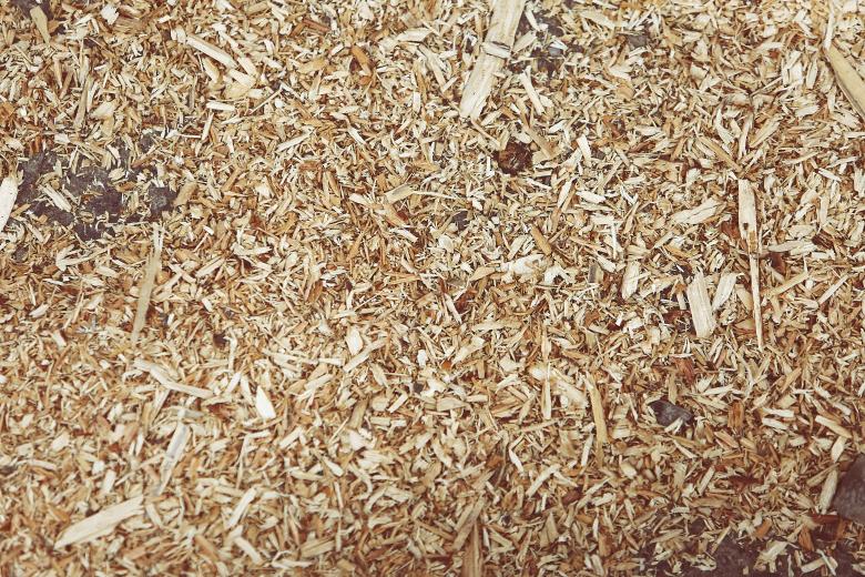 Free stock image of Wood Texture created by Life of Pix