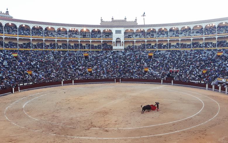 Free stock image of Bullfighting created by Life of Pix