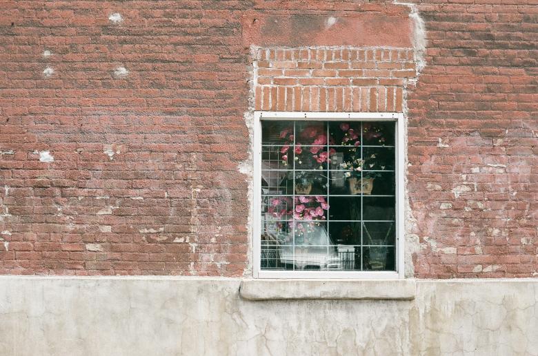 Free stock image of Flowers inside the window created by Life of Pix