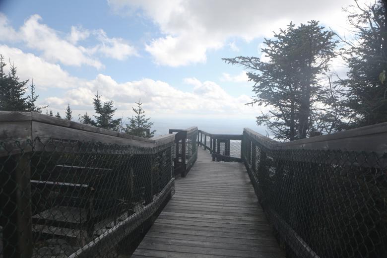 Free stock image of Wild bridge created by Life of Pix