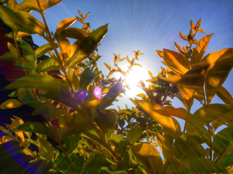 Free stock image of Sunny created by Unsplash