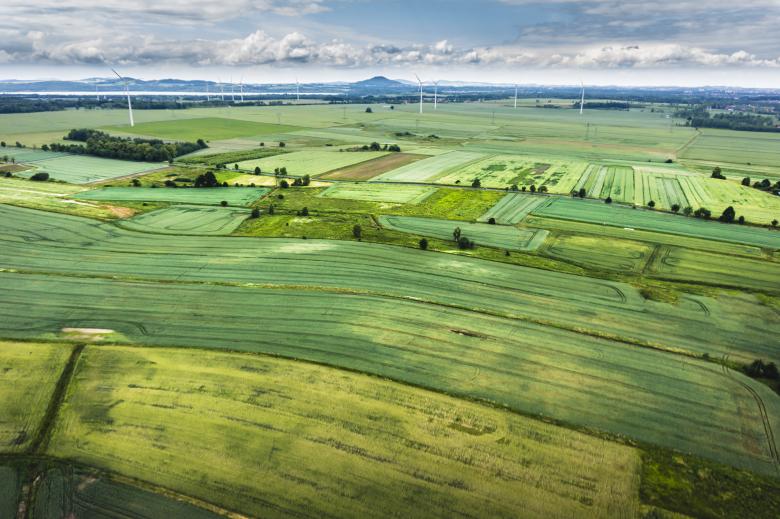 Free stock image of Green land created by Unsplash