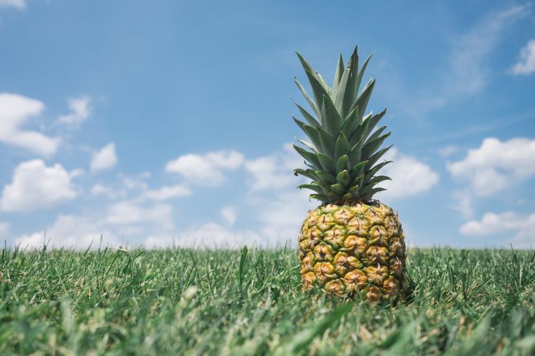 Free stock image of Field created by Unsplash