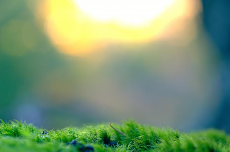 Free stock image of Bright created by Unsplash