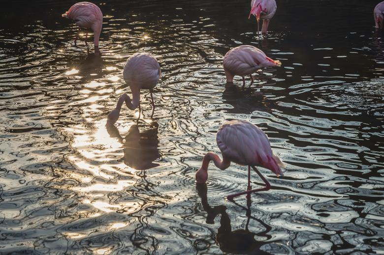 Free stock image of Fishing created by Unsplash