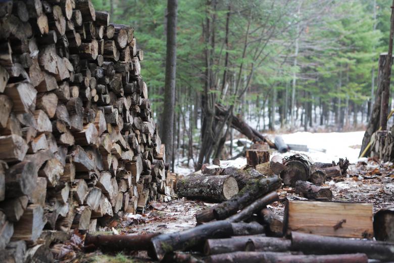 Free stock image of Wood Cutting created by Life of Pix