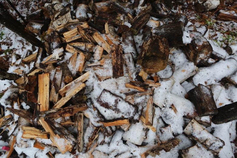 Free stock image of Winter created by Life of Pix