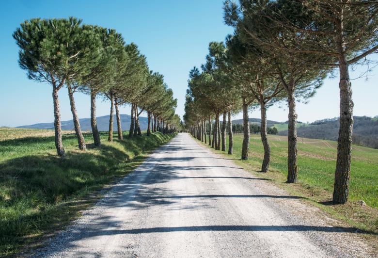 Free stock image of The Route created by Unsplash