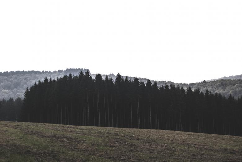 Free stock image of Woods created by Unsplash