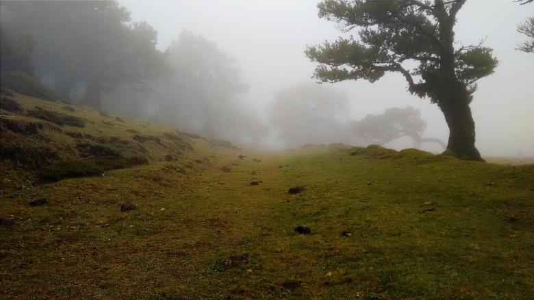 Free stock image of Fog created by Unsplash