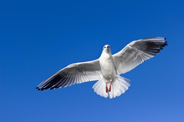 Free stock image of Sky High created by Unsplash