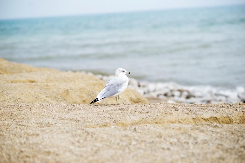 Free stock image of Observe created by Unsplash