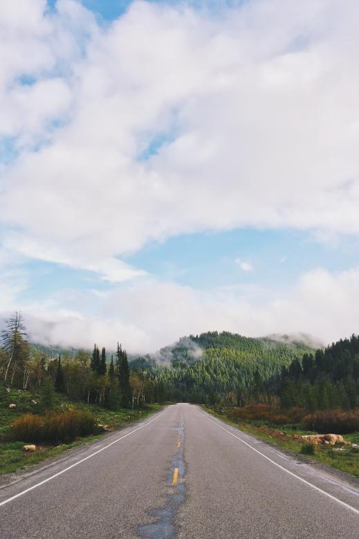 Free stock image of Wild created by Unsplash