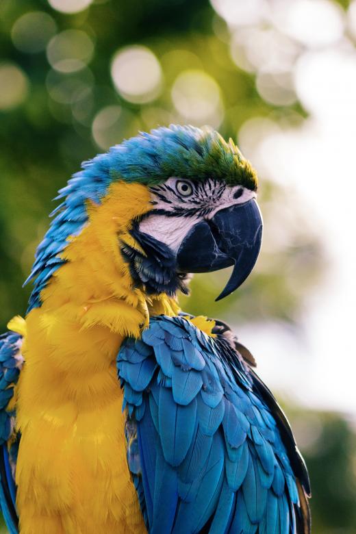 Free stock image of Colors of Nature created by Unsplash