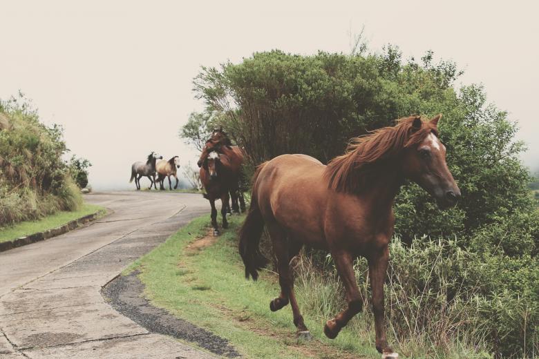 Free stock image of Race created by Unsplash
