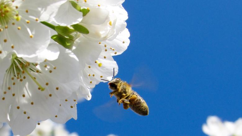 Free stock image of Nature created by Unsplash
