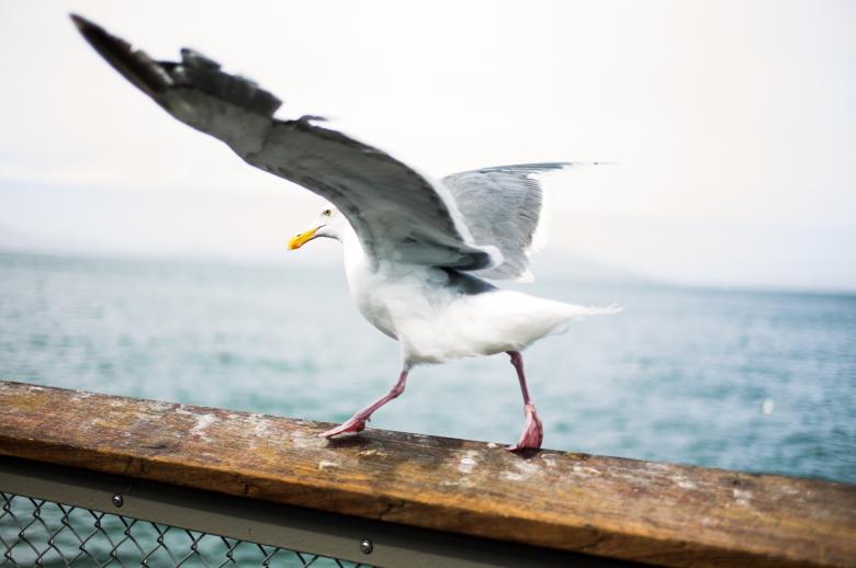 Free stock image of Take off mode created by Unsplash
