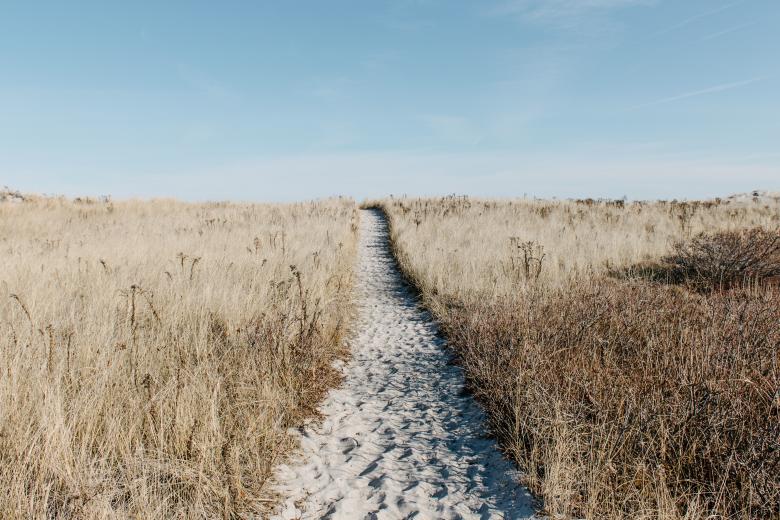 Free stock image of The Pathway created by Unsplash