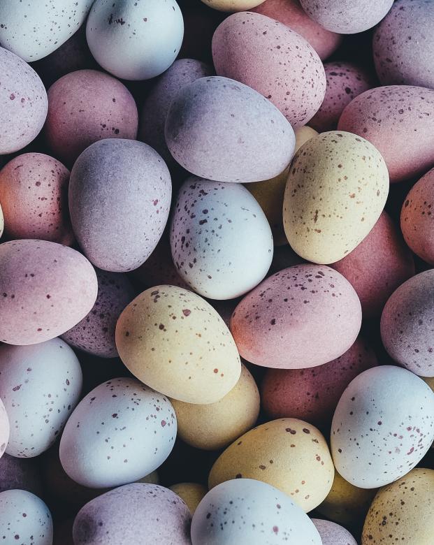 Free stock image of Colorful Eggs created by Unsplash