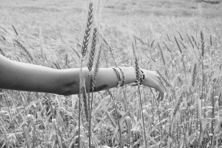 Free stock image of Field created by Life of Pix