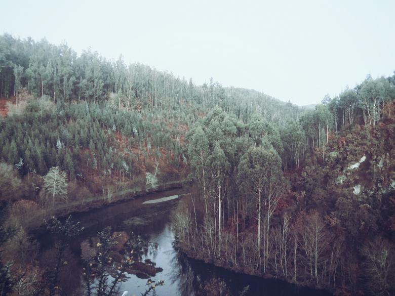 Free stock image of River  created by Life of Pix