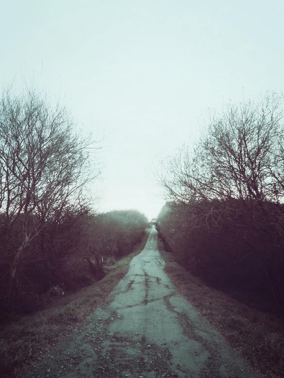 Free stock image of Road created by Life of Pix