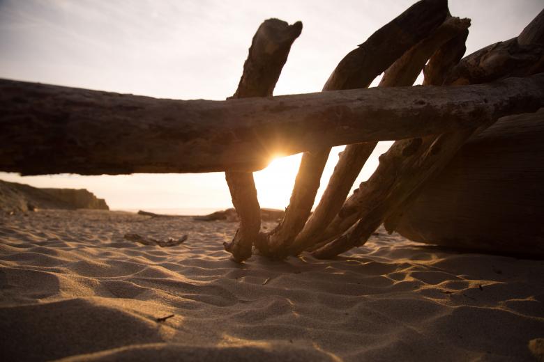 Free stock image of Wooden created by Life of Pix