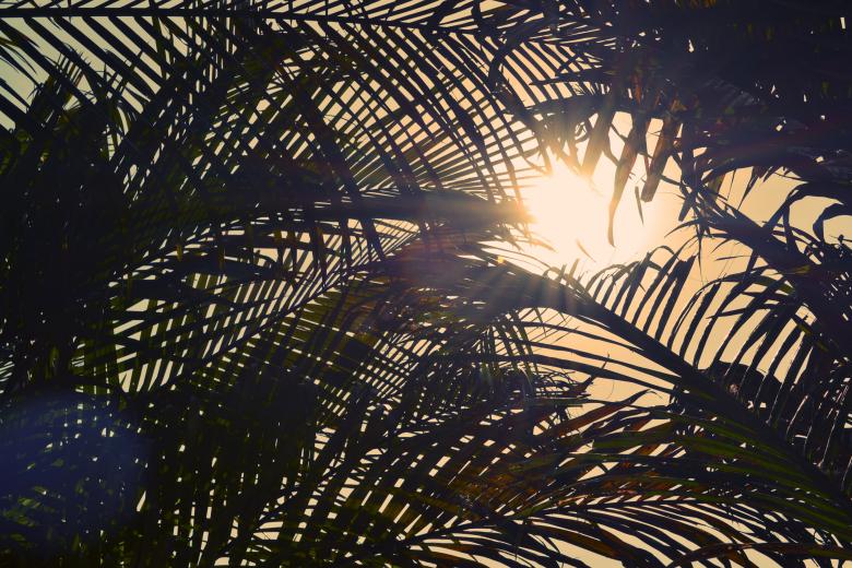 Free stock image of Sunlight  created by Life of Pix