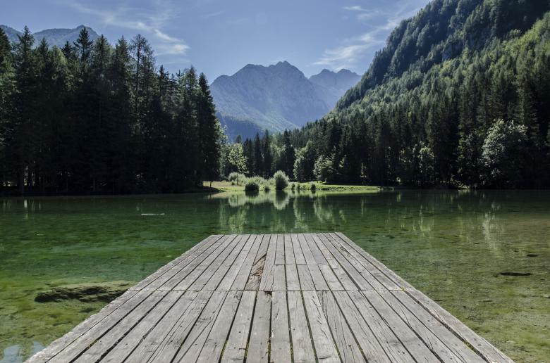 Free stock image of Nature created by Unsplash