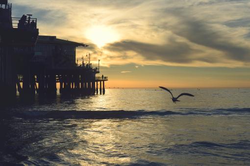 Free Stock Photo of On the Beach