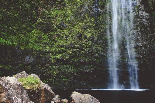 Waterfall - Free Stock Photo