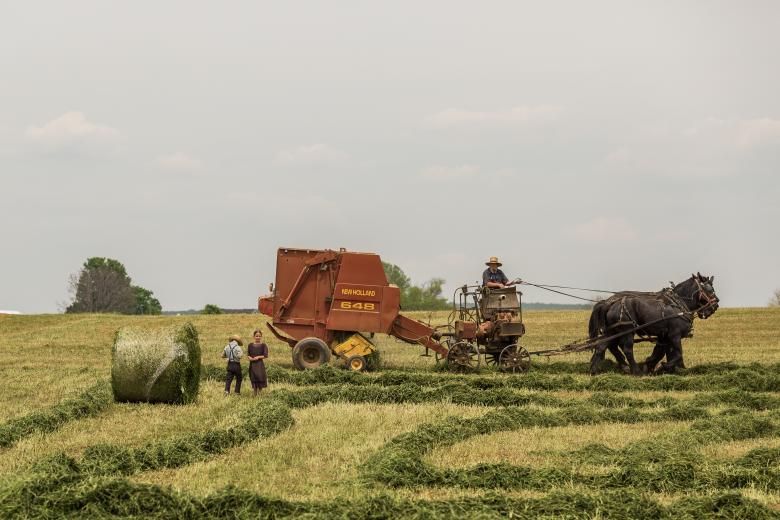 Free stock image of Working on the field created by Unsplash
