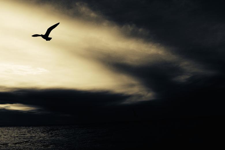 Free stock image of Dark created by Unsplash