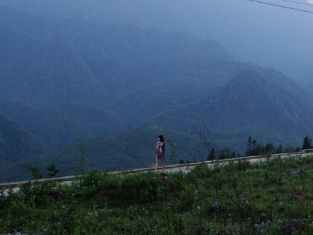 Free Stock Photo of Observing Nature